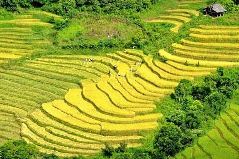 Sapa motorcykeltur: O Quy HO Pass, Vattenfall, Cat Cat Cat Village