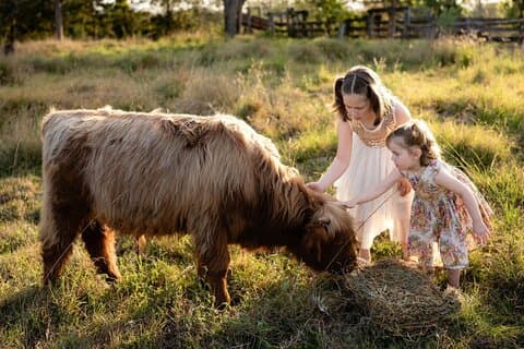 Morning Farm Experience near Gympie & Noosa