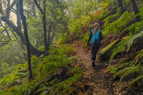 Tenerife Escursioni nella foresta incantata sopra Masca con PICKUP