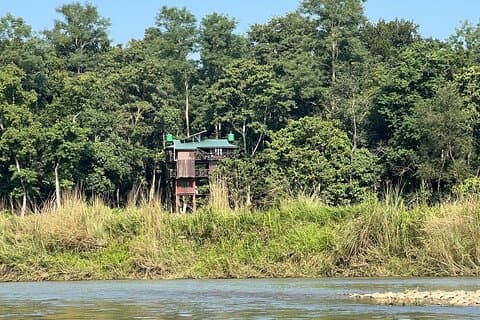 2Night 3Day Chitwan Jungle Tower Night Stay and CNP Nepal Safari