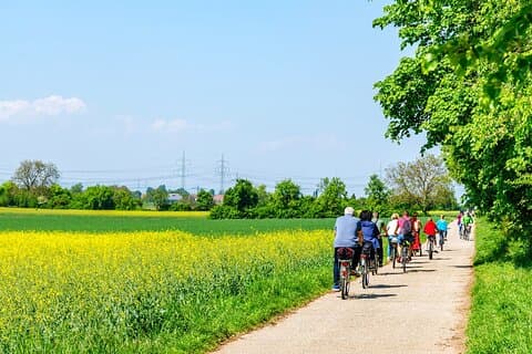 Tour de campagne à vélo avec dégustation de fromages au départ d'Amsterdam