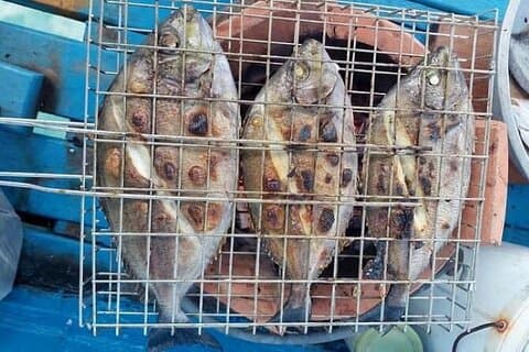Crociera con pesca e pranzo sull'isola da Koh Samui - Cattura e relax