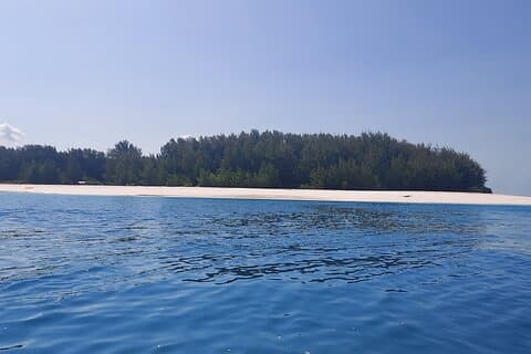 Excursion de plongée avec tuba et d'observation des dauphins sur l'île de Mnemba
