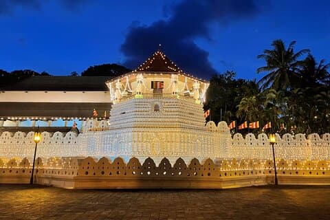 Excursion d'une journée privée Kandy tout compris au départ de Colombo ou Negombo