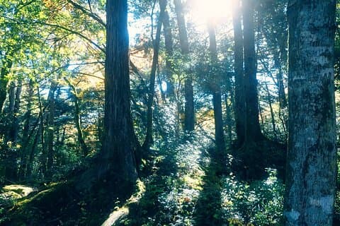 富士山フォトツアー