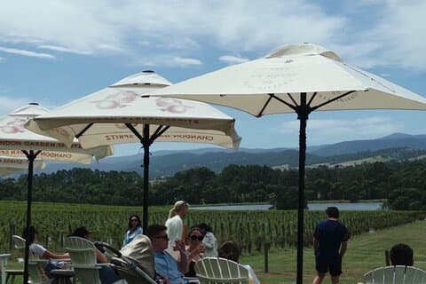 Yering Winery + LV Chandon Winery + Puffing Billy Steam Train