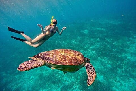 Gili Air : Private Snorkeling with 4 spots