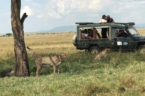 3 Days 2 nights Maasai Mara Budget Excursion