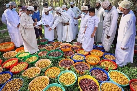 Dagstur til Nizwa Animal Cattle Market og Jebel Akhdar