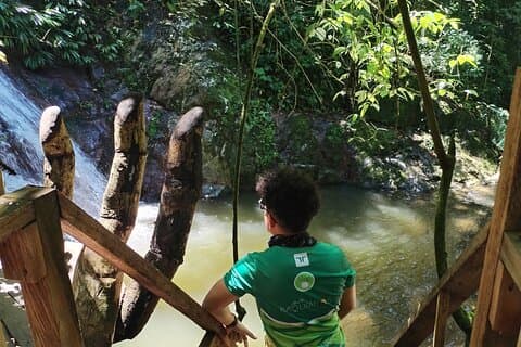 Excursão de café Minca, excursão de cacau e cachoeiras