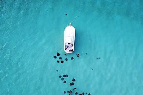 Private Charter 34ft Express Cruiser Stingay City Reef Snorkeling
