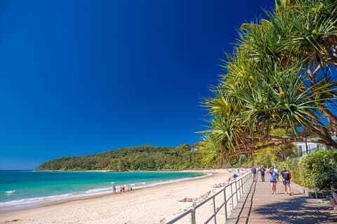 Noosa Heads and Eumundi Markets Private Tour from Brisbane