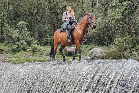 Passeio a cavalo no Vale Cocora, Mirador Dos e Rio