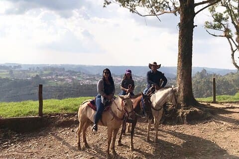 Passeios a cavalo até mirantes e cachoeira Sestillal Salento