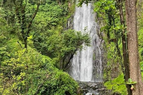 Materuni Waterfall Hike, Coffee Making & Optional Hot Springs