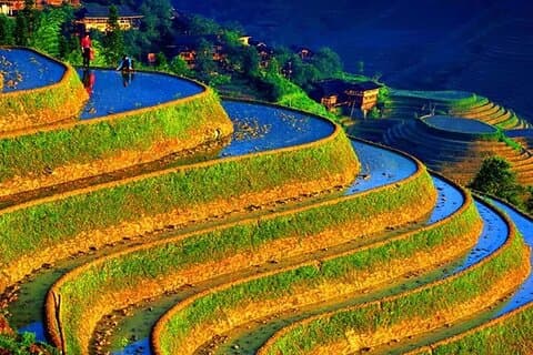 Lille gruppe: Longji Rice Terraces & Minority Village Tour