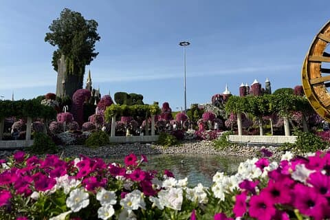 Dubai Miracle Garden Tour med returtransport