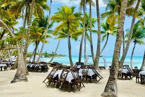 Heldagstur til Saona Island med frokostbuffet, Paella og åben bar