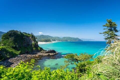From Tokyo: Private Day Trip to Izu & Shimoda, Shizuoka