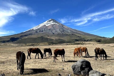 Cotopaxi National Park & Papallacta Spa – Adventure & Relax