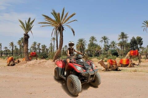 Marrakech: 2-timers Quad Bike & Camel Ride i Palmeraie