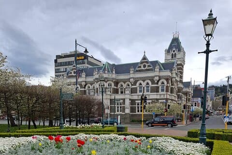 Private Dunedin & Otago Peninsula Tours up to 6 people