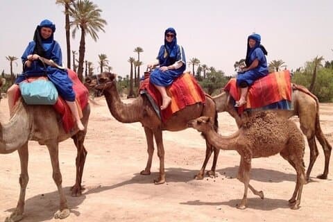 Palmeraie Camel Trek: En traditionel tur i Marrakech