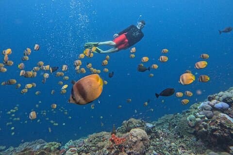 Bali : excursion d'une journée avec plongée en apnée sur l'île de Nusa Lembongan, tout compris