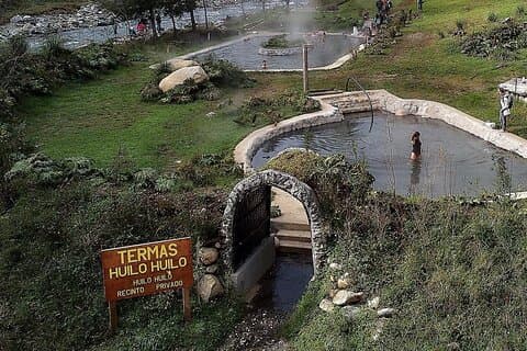 バルディビア発ウィロウィロ温泉ツアー (昼食付き)