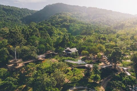 Samui Elephant Kingdom Ethical Sanctuary and Skywalk Tour
