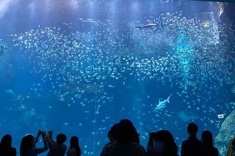 Acquario Xpark, Gloria Outlets e Daxi Old Street con biglietti