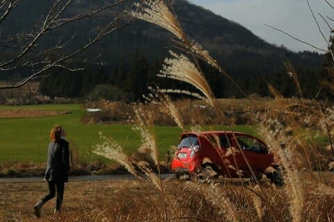 Visite Privée de l'île de Jeju en Voiture