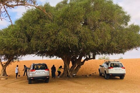 Sahara trip + Tiznit silver city by Jeep