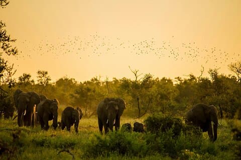 モールパーク、ララバンガモスク&神秘の石を巡る日帰りアドベンチャー