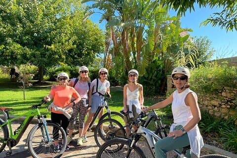 Eze Electric Bike Tour from Nice