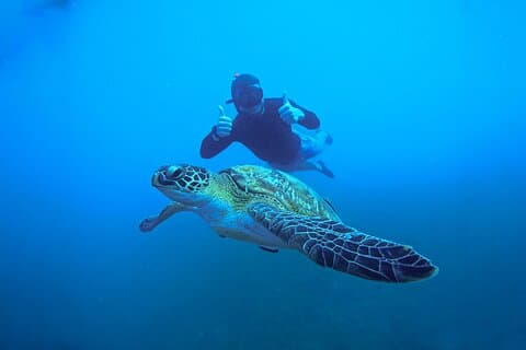 Snorkeling Trip 5 Island Tour Around Koh Tao e Koh Nang yuan