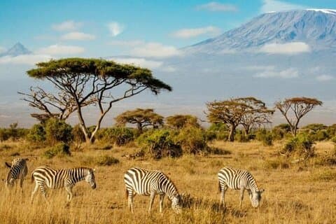 5 Tage Private Safari Tour nach Amboseli und Tsavo West und Ost