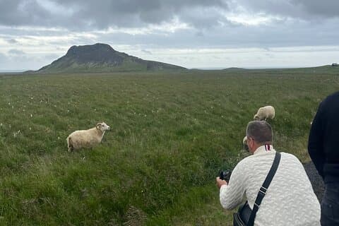 Excursão privada à Península de Reykjanes