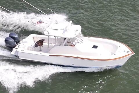 Private Boat Tours and dolphin encounters in Avalon NJ