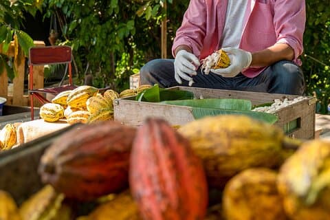 [TODO INCLUIDO] Tour privado por el tesoro oculto de Bali Norte