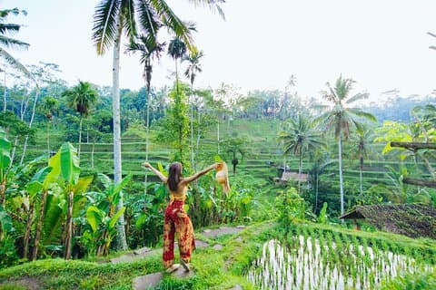 Ubud : visite privée de la cascade, des rizières en terrasses et de la forêt des singes