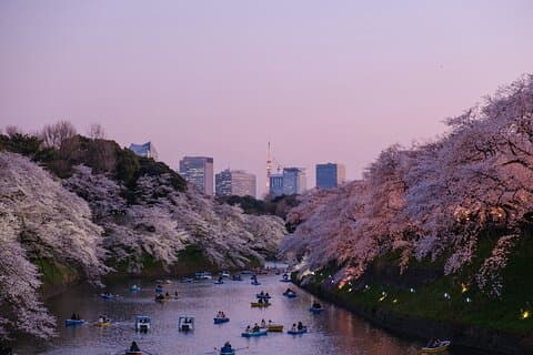 Private Tokyo City Tour With English Speaking Driver