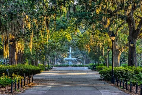 Savannah Scavenger Hunt & Highlights Självguidad rundvandring
