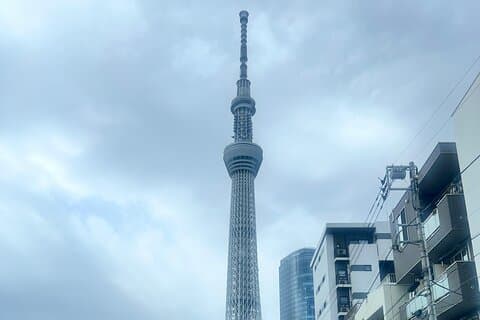 Visite guidée anglophone d'une journée de Tokyo en véhicule privé
