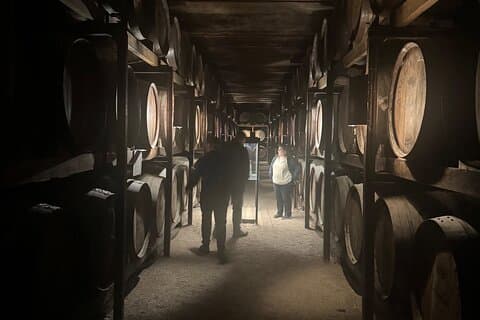 Privat tur i Vinho Verde-regionen med to vinsmakinger.