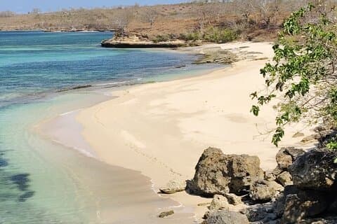 Excursion d'une journée sur la plage rose à East Lombok