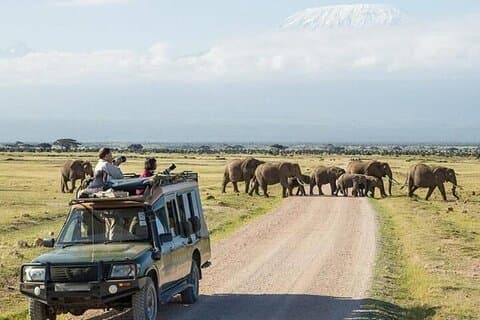 Amboseli Multi Day Tour fra Nairobi