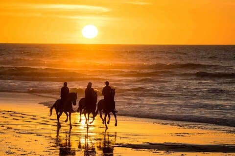 Essaouira Ridning & Plocka upp