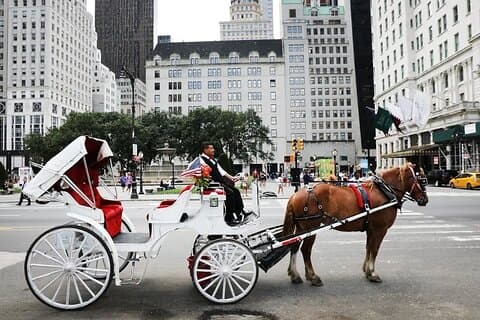 Hotell i nærheten av Central Park Horse Carriage Ride