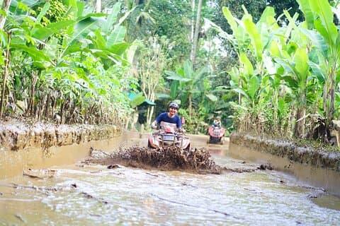 Bali ATV Quad Bike Single med Waterfall og Gorilla Cave + Lunsj
